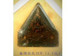 ̩ͷƬ